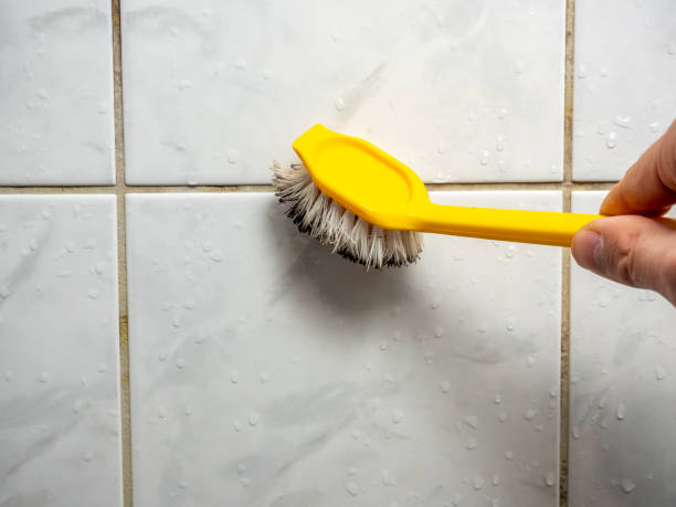  Harristown, IL Mold Removal Pros