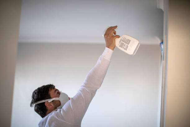 Best Residential Mold Remediation in Harristown, IL